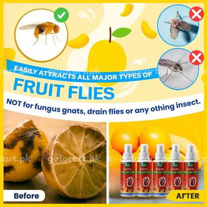 Fruit Fly Repellant – For Indoor & Kitchen Use